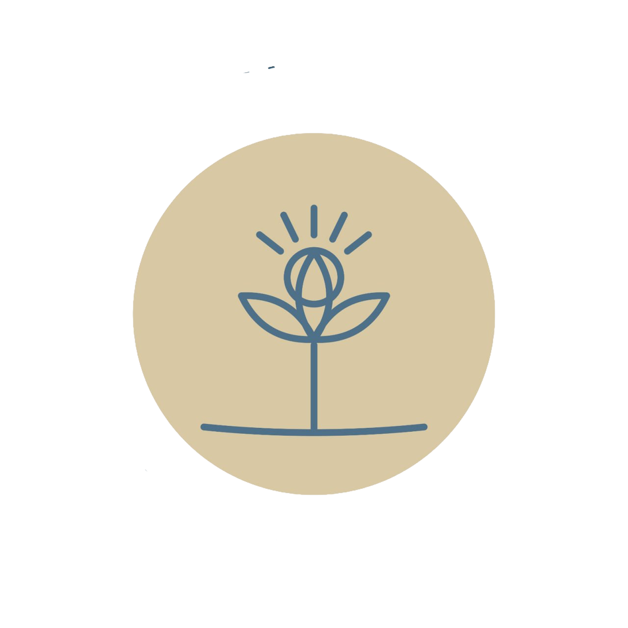 Fresh Start